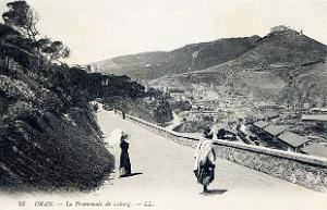 Images d'Algerie 360